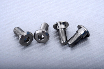 Titanium Screw for Rear Brake Disc specific for YAMAHA M8 X P1.25 X 20 MM
