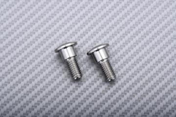 Vite Titanio per Disco Freno Anteriore specifica per SUZUKI M8 X P1.25 X 21 MM