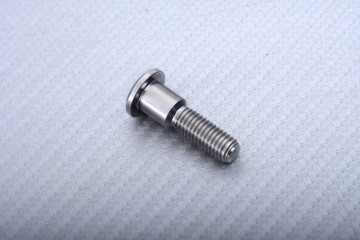 Titanium Screw for Front Brake Disc specific for SUZUKI M8 X P1.25 X 33 MM