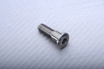 Titanium Screw for Rear Brake Disc specific for SUZUKI M8 X P1.25 X 33 MM