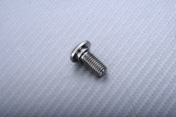 Titanium Screw for Rear Brake Disc specific for Triumph M8 X P1.25 X 18 MM