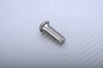 Titanium Screw for Front Brake Disc specific for BMW M8 X P1.25 X 25 MM