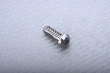 Titanium Screw for Front Brake Disc specific for BMW M8 X P1.25 X 25 MM