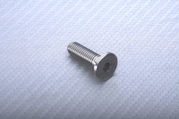 Titanium Screw for Front Brake Disc specific for BMW M8 X P1.25 X 26 MM