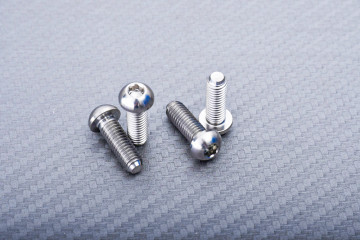 Titanium Screw for Rear Brake Disc specific for BMW M6 X P1.00 X 18 MM