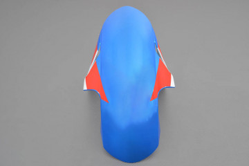 Guardabarro Delantero BMW S1000R / M1000R 2021 - 2024