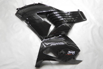 Carenado completo KAWASAKI ZZR 1400 / ZX14R 2006 - 2011