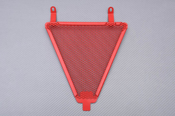 Kühlergrills- Abdeckung DUCATI PANIGALE 899 / 959 / 1199 / 1299 / V2 2012 - 2024