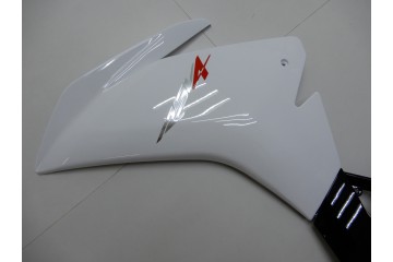 Carena completa APRILIA RSV4 2009 - 2014