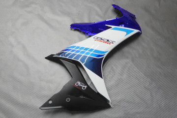 Carénage complet SUZUKI GSX 250R 2017 - 2021