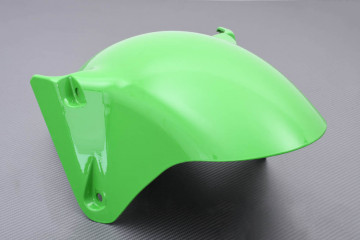 Parafango Anteriore KAWASAKI ZX9R 2002 - 2003