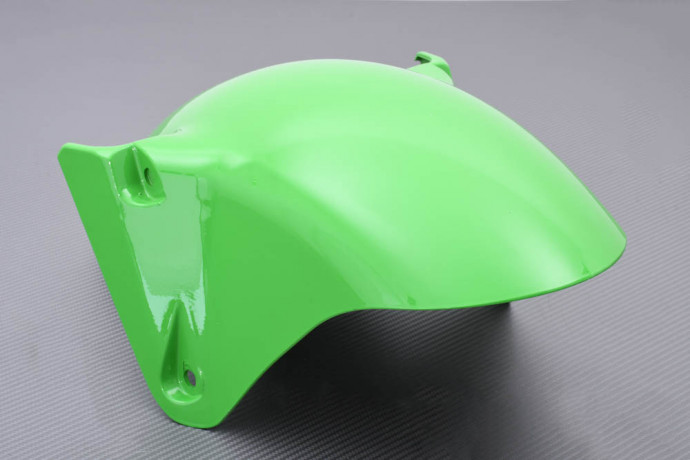 Front Mudguard KAWASAKI ZX9R 2002 - 2003