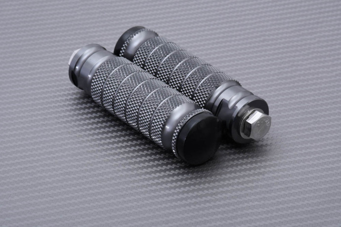 Paar Fußrasten für die Rastenanlage