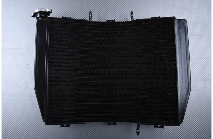 Radiator KAWASAKI ZX6R 1998 - 1999