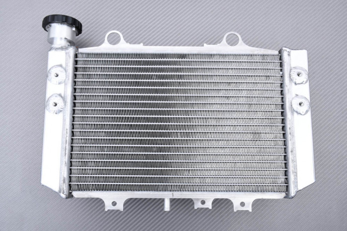 Radiateur BMW G310RR 2022 - 2024