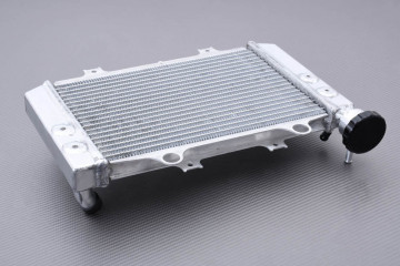 Radiateur BMW G310RR 2022 - 2024