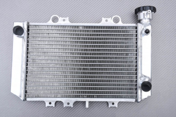 Radiateur BMW G310RR 2022 - 2024