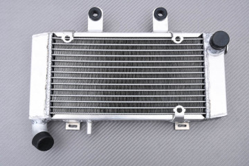 Radiators HONDA VFR 800 FI / INTERCEPTOR 1998 - 2001