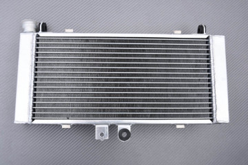 Radiador HONDA HORNET 900 2002 - 2007