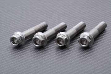 Tornillería para pinzas de freno radiales de titanio / acero inoxidable para HONDA M10 X P1.25 X 60 MM
