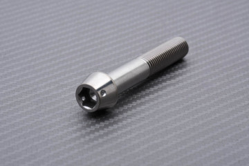 Tornillería para pinzas de freno radiales de titanio / acero inoxidable para KAWASAKI M10 X P1.25 X 60 MM