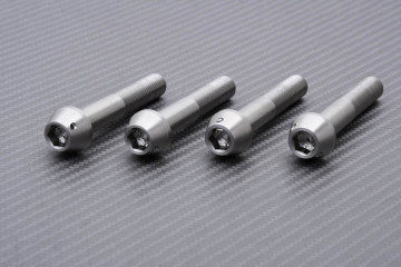 Schrauben und Muttern für Radialbremssättel aus Titan / Edelstahl für SUZUKI M10 X P1.25 X 60 MM
