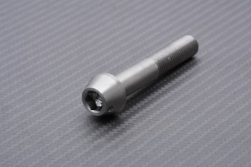 Tornillería para pinzas de freno radiales de titanio / acero inoxidable para SUZUKI M10 X P1.25 X 60 MM