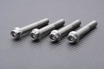 Tornillería para pinzas de freno radiales de titanio / acero inoxidable para KAWASAKI M10 X P1.25 X 75 MM