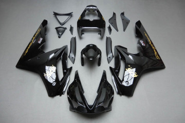 Carénage complet TRIUMPH DAYTONA 675 / R 2009 - 2012