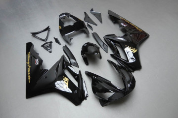 Komplette Motorradverkleidung TRIUMPH DAYTONA 675 / R 2009 - 2012
