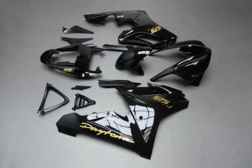 Komplette Motorradverkleidung TRIUMPH DAYTONA 675 / R 2009 - 2012