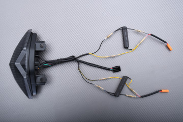 Fanale posteriore a LED "Plug & Play" con indicatori di direzioni integrati KAWASAKI Z1000 / Z1000SX / VERSYS 650 2010 - 2021