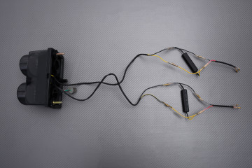 Plug & Play LED tail light with integrated indicators YAMAHA YZF R1 1998 - 1999