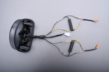 Piloto trasero LED "Plug & Play" con intermitentes integrados SUZUKI GSE / GSF 500 2003 - 2011