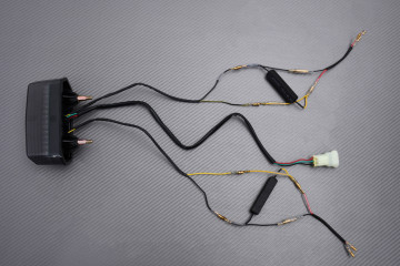 Fanale posteriore a LED "Plug & Play" con indicatori di direzioni integrati HONDA MSX 125 GROM 2014 - 2023