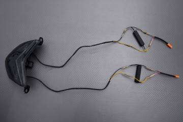 Piloto trasero LED "Plug & Play" con intermitentes integrados KAWASAKI ZX6R / Z750S 2005 - 2007