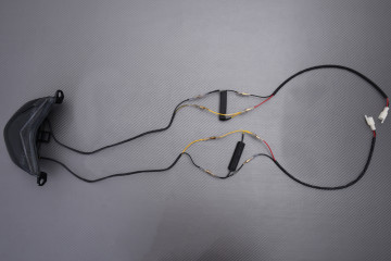 Piloto trasero LED "Plug & Play" con intermitentes integrados KAWASAKI ZX10R 2006 - 2007