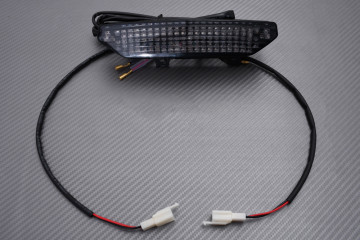 Plug & Play LED tail light with integrated indicators KAWASAKI GTR 1400 2008 - 2017