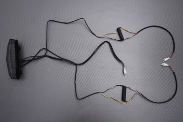 Fanale posteriore a LED "Plug & Play" con indicatori di direzioni integrati KAWASAKI GTR 1400 2008 - 2017