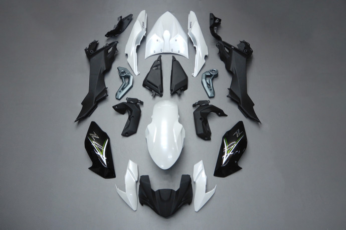 Complete Fairing set KAWASAKI Z650 2017 - 2019