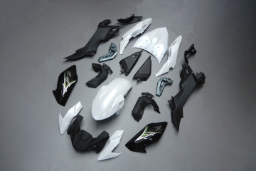 Komplette Motorradverkleidung KAWASAKI Z650 2017 - 2019