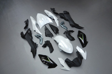 Carénage complet KAWASAKI Z650 2017 - 2019
