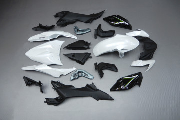 Complete Fairing set KAWASAKI Z650 2017 - 2019