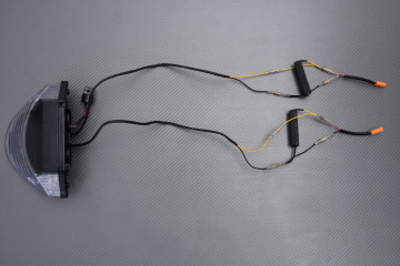 Fanale posteriore a LED "Plug & Play" con indicatori di direzioni integrati HONDA HORNET 900 2002 - 2006