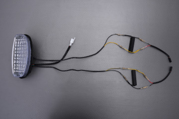LED-Rücklicht "Plug & Play" mit integrierten Blinkern SUZUKI GSE 500 2001 - 2002