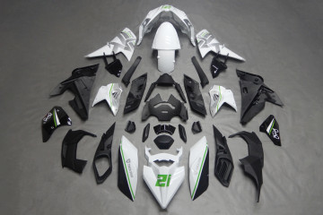 Komplette Motorradverkleidung KAWASAKI NINJA H2 2016 - 2021
