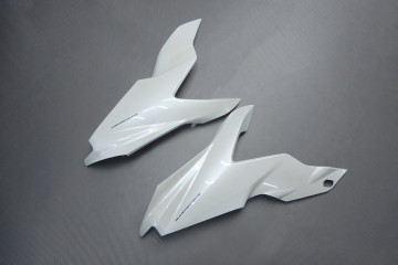 Carena completa DUCATI SUPERSPORT SS 939 2017 - 2020