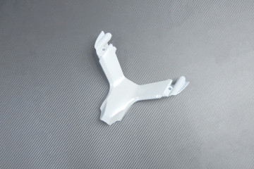 Carenado completo DUCATI SUPERSPORT SS 939 2017 - 2020