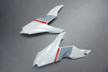 Carénage complet DUCATI SUPERSPORT SS 939 2017 - 2020