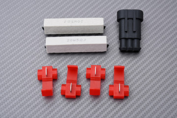 Fanale posteriore indicatori di direzione integrato DUCATI STREETFIGHTER V2 / V4 2020 - 2024